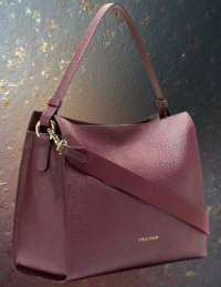 EandChic Burgandy Purse