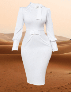 EandChic Feminine White Dress