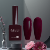EandChic Dark Red Nail Polish