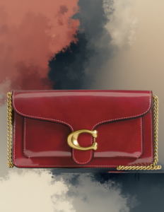 EandChic Coach Ruby Handbag